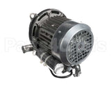 6105-004-35-22 Jackson Motor Pump Fir (Jsp2U)(5222U1567) 1 Hp 1