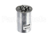 61080527 Friedrich Capacitor
