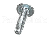 620045297 Cornelius Screw 10-32X3/4 Phss