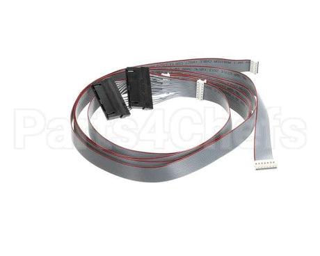 620048380 Cornelius Harness Keypad/E-Board Membrn Ada