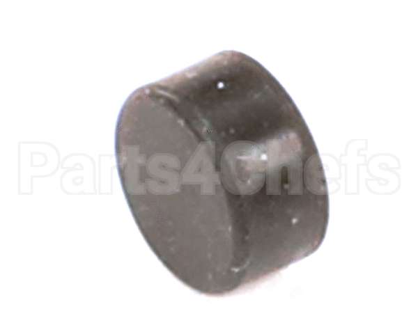 620070041 Cornelius Seal Armature Water Side