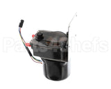 620070333 Cornelius Pump Peristaltic 24V A-60-G