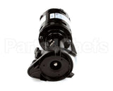 620204632 Cornelius Pump Water 1550 Rpm 115V