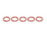 624600-5 Stoelting 624600 Five Pack Kit