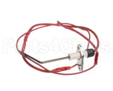 62590 Blodgett Electrode 24Kw, Cavity