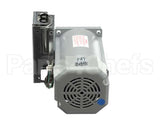 629097101 Cornelius Kit Gear Motor Vpr 60Hz W/Cap