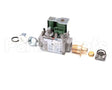 6301018 Angelo Po Gas Valve 60 Hz