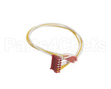 63074 Henny Penny Harness-J1 D1 D2 Hl1 Hl2