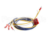 65837 Henny Penny Harness-D/S-H/L-P/S Wire