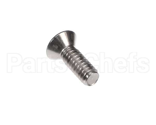 67175 Middleby Scr Ms Phi 1/4-20X3/4 Ss