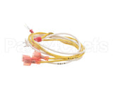 68104 Henny Penny Harness-High Limit/Dr Switch-Comp