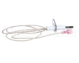 6999 Hardt Igniter Hot Surface