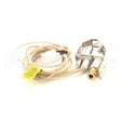 7000-0749 Compatible Wood Stone Pilot Ignitor Assy, Nat