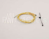 7000866 Antunes Thermocouple Kit, Platen