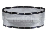 7000991 Antunes Crown /Heel Ptfe Belt