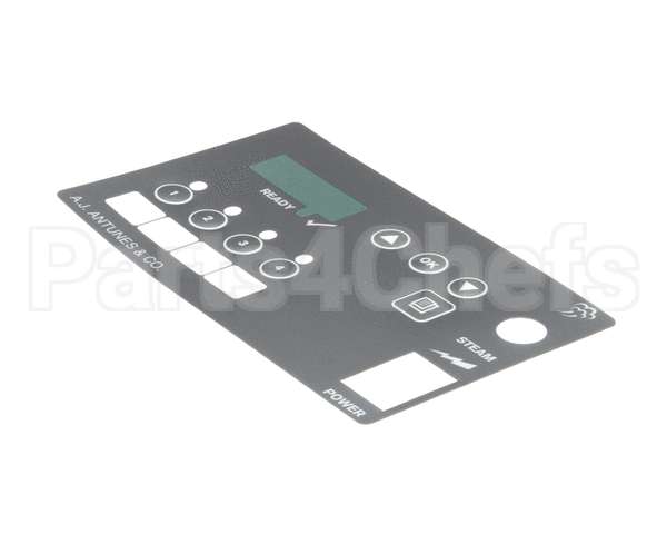 7001323 Antunes Label, Primary