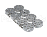 7001536 Antunes Conveyor Sprocket Kit