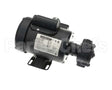 700528 Darling International Pump Motor Assembly Baker #S2
