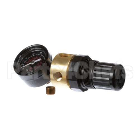 70610 Saniserv Regulator