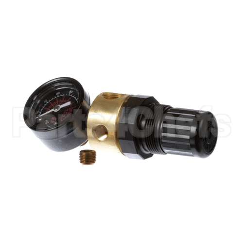 70610 Saniserv Regulator