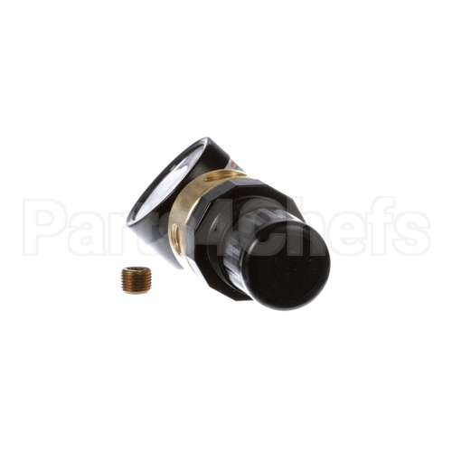 70610 Saniserv Regulator