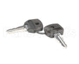 719102-KY Stoelting Keys; For 2 Pos Switch 719102