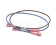 71963 Middleby Wireset,24Vdc Motor Power