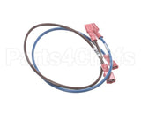 71963 Middleby Wireset,24Vdc Motor Power