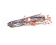 72019 Grindmaster Cecilware Harness,Low Volt,Non-Shutter