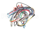 72075 Grindmaster Cecilware Harness, Non-Shutter Wiring