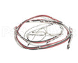 72379 Marsal Pizza Ovens Harnessct302 3P4W Element