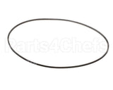 73-8466 Axis Belt