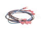 74281 Middleby Wireset,24Vdc Motor Ps670