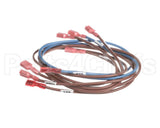 74281 Middleby Wireset,24Vdc Motor Ps670