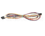 76118 Structural Concepts Femail Harness