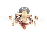 762443 Stoelting Valve Expansion Thermostatic