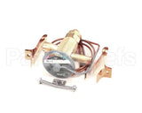 762443 Stoelting Valve Expansion Thermostatic