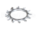 766982 Stoelting Washer Shakeproof 38 Zinc