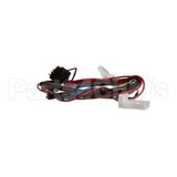 77298 Structural Concepts Shelf Light Harness W/Socket