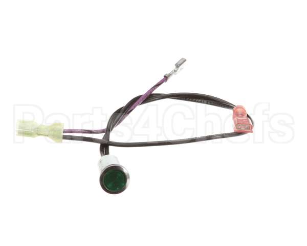 781212 Newco Ready Lamp Green
