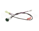 781212 Newco Ready Lamp Green