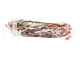 78917 Henny Penny Harn-C1000-2000 500 Control