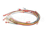 79209 Henny Penny Harness-Ofg 15 Pin Fryer Conn