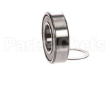 800000 Globe Bearing And Washer Kit