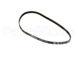 800008 Globe Drive Belt
