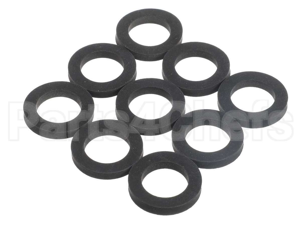 800014B Raypak Gasket (9/Pkg)