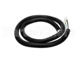 805802 American Dryer Laundry 50V Motor Plug Hrn 115V