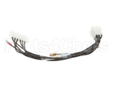 8066330SP Frymaster Plug Assembly, H50 Filter Box 120V