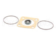 807-1197-3 Frymaster Viking Pump Seal Kit