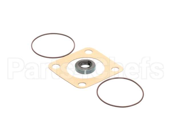 807-1197-3 Frymaster Viking Pump Seal Kit